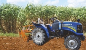 Best For Earthing Up Operation For Sugarcane Field